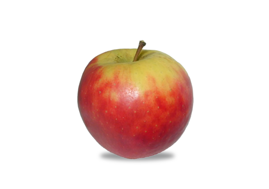 Apfel Elstar