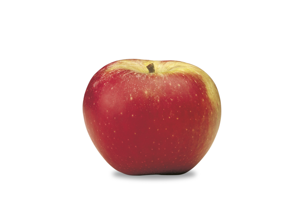 Apfel Winesap
